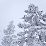 Olof Nature *