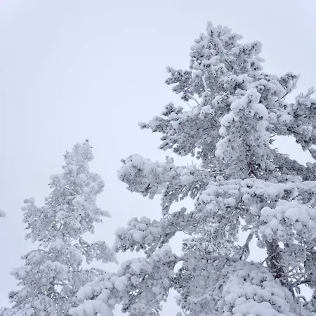 Olof Nature *